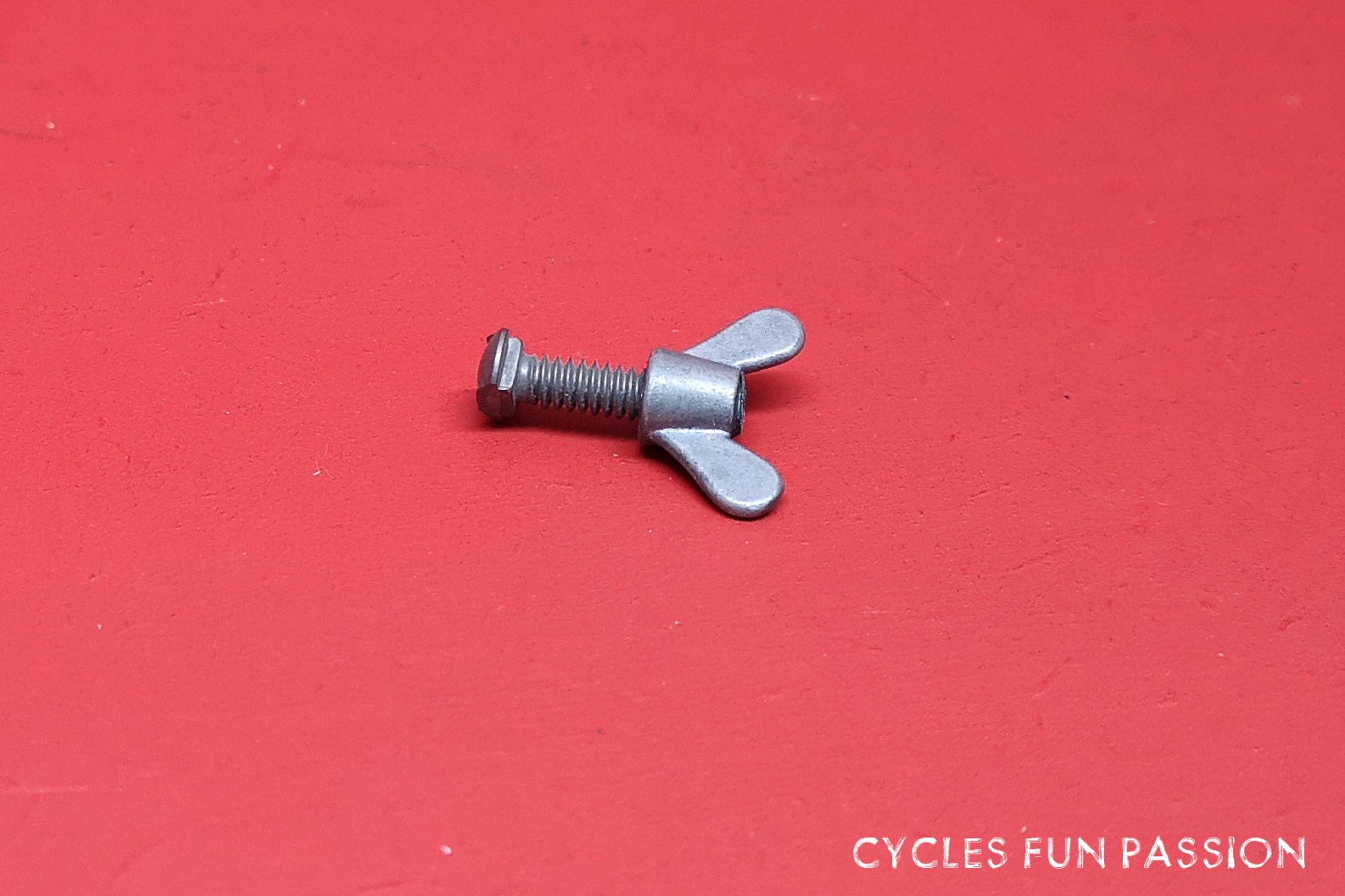 Elvedes Ensemble de 10 Vis de maintien pour plaquettes frein vélo M4x22