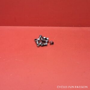 Vis cheminées pour plateaux pédalier-Crankset VINTAGE ref425pp5
