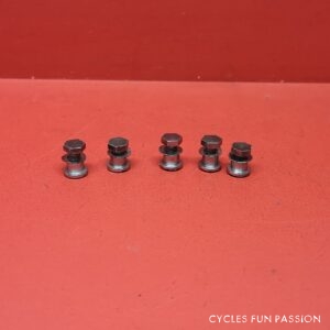 Vis cheminées pour plateaux pédalier-Crankset SPECIALITES TA ref191pp5