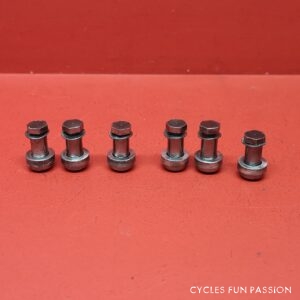 Vis cheminées pour plateaux pédalier-Crankset SPECIALITES TA (triple) ref197pp5