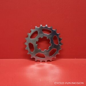 Pignon-Sprocket CAMPAGNOLO 22d ref301pp2