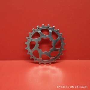 Pignon-Sprocket CAMPAGNOLO 23d ref298pp2