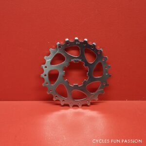 Pignon-Sprocket CAMPAGNOLO 23d ref304pp2