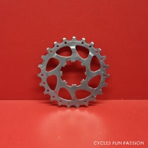 Pignon-Sprocket CAMPAGNOLO 23d ref306pp2
